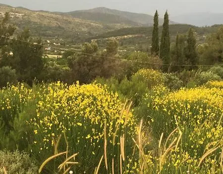 Kalivi Traditional Olive Farm Villa